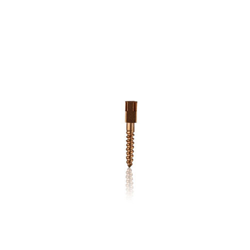 Screw Post L1 Gold Conical 12/Pack Refill DG-L1