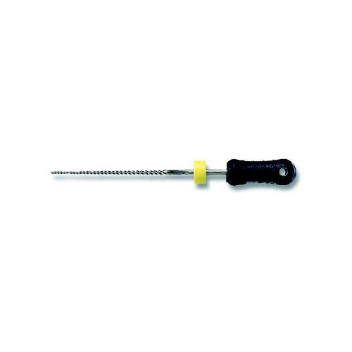 Dentsply Readysteel Flexofile 25mm #06 6/Pack 6830625