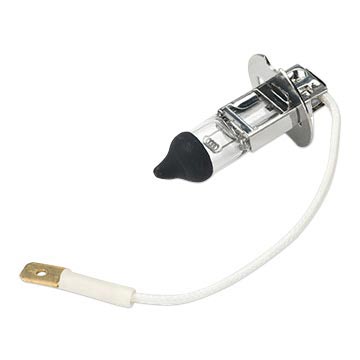 Belmont Clesta Light Bulb 24V 60W Black Tip DCI 8890