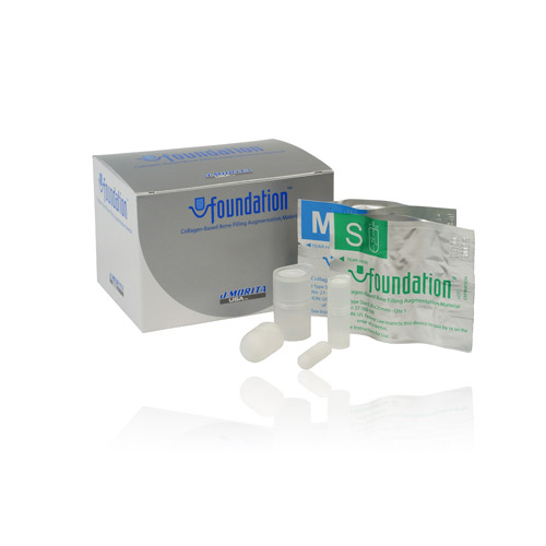 Foundation Bone Filler Small 10/Box 27-500-100