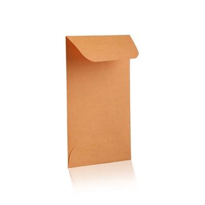 Coin Envelopes